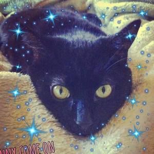 Meet your Posher, Jean